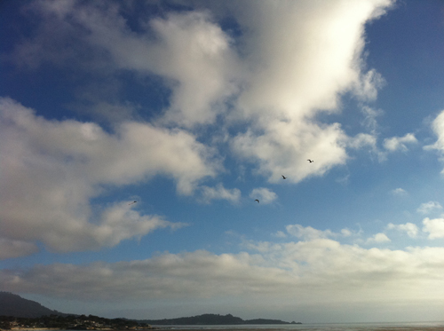 beach_kites