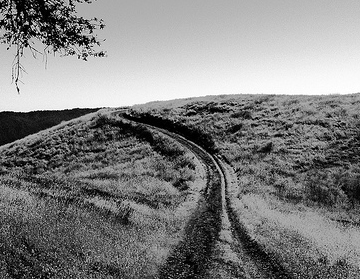 black-and-white-path